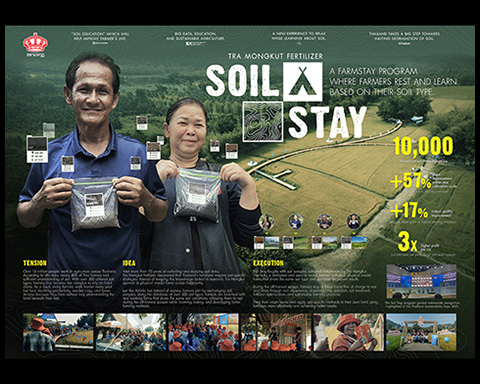 SOIL STAY